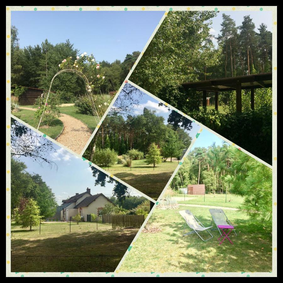 Le Chalet Des Pins Hotel Rougeou ภายนอก รูปภาพ
